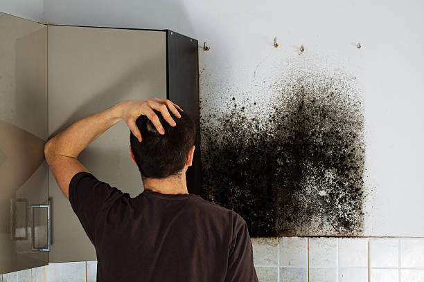 Best Emergency Mold Removal  in Tillmans Corner, AL